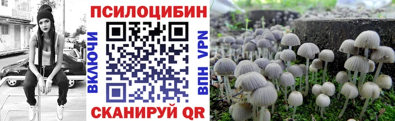 Галлюциногенные грибы Magic Shrooms  Купить закладки  Заречный 